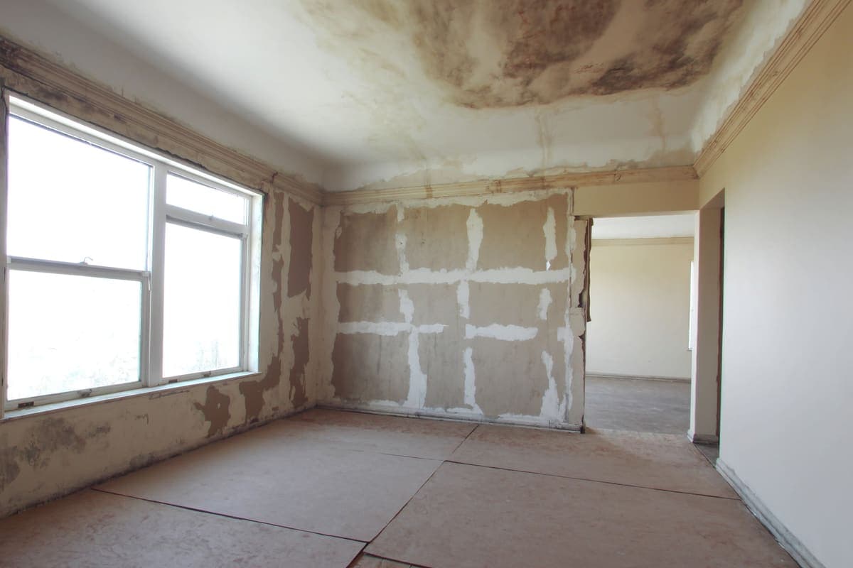Interior of a house with peeling paint, a water-stained ceiling, and exposed subfloor